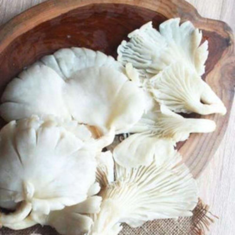 

jamur tiram 250grm