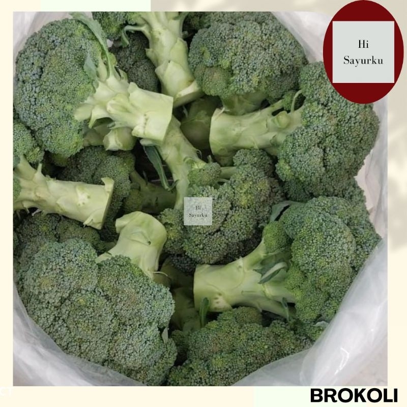 

BROKOLI LOKAL SEGAR / BROCCOLI LOCAL FRESH
