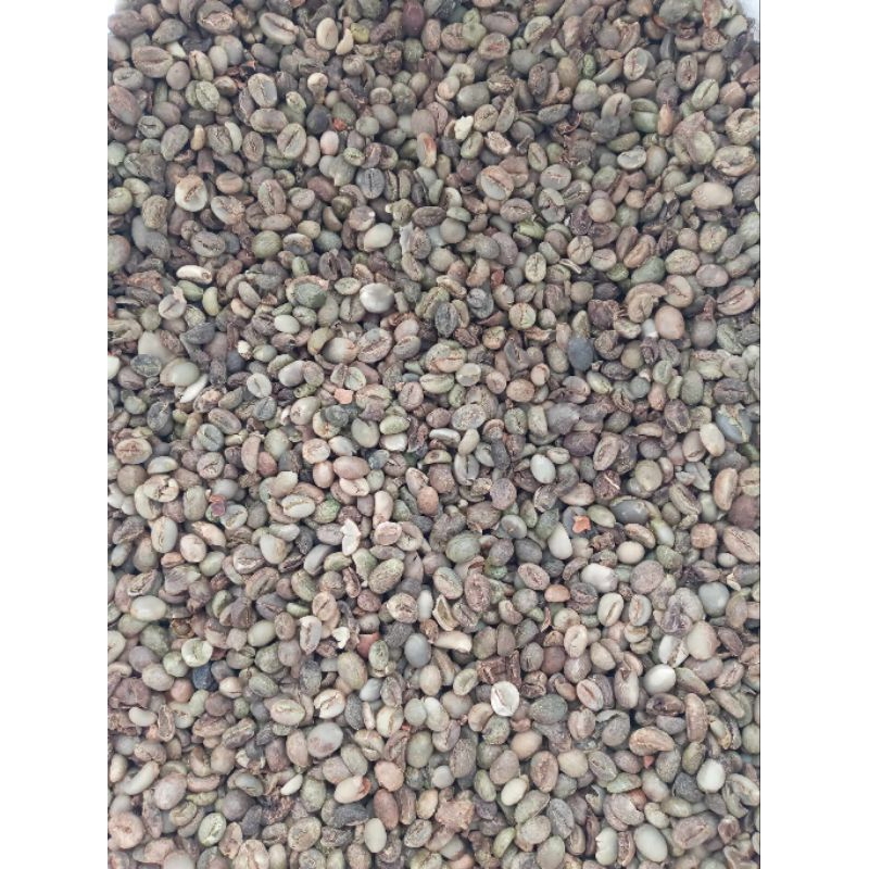 

kopi robusta asalan/ green bean robusta/robusta asalan#abajaduncoffee