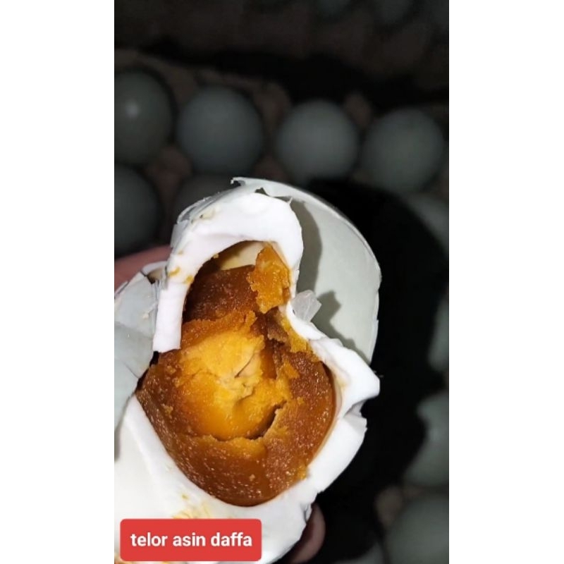 

TELOR ASIN BEBEK 1 BIJI (sudah matang) dijamin!! Masir