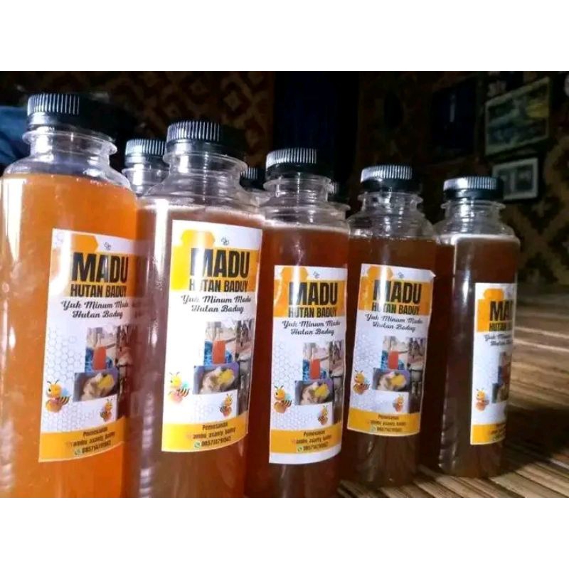 

madu.odeng hutan.baduy