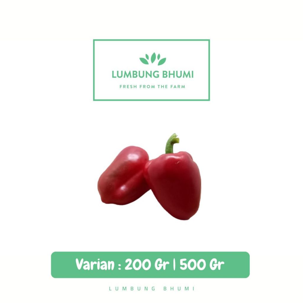 

Paprika Merah Sayur - Lumbung Bhumi