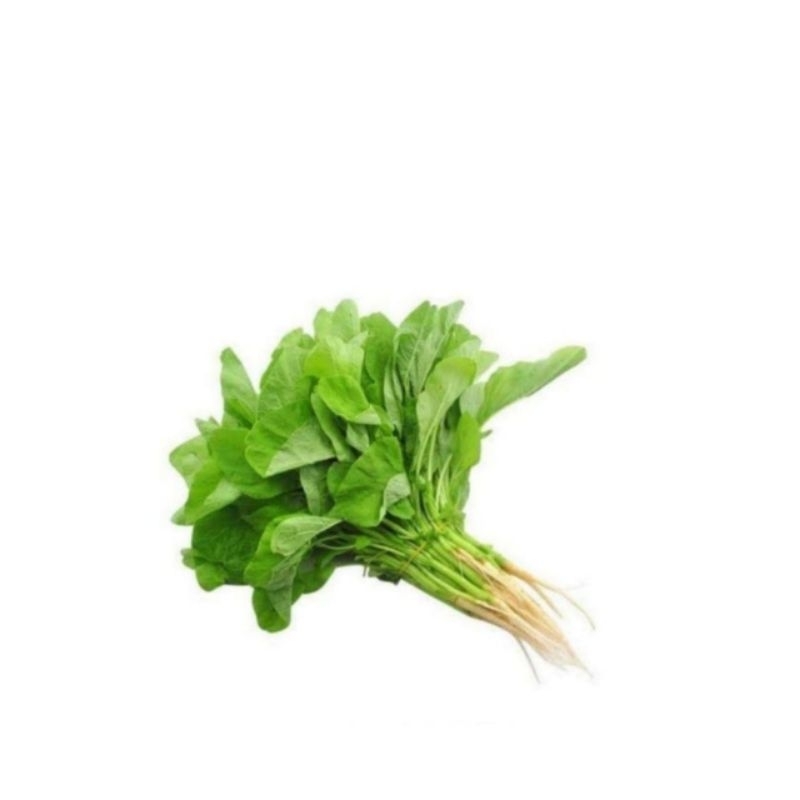 

sayur bayam segar sayur bayam fresh