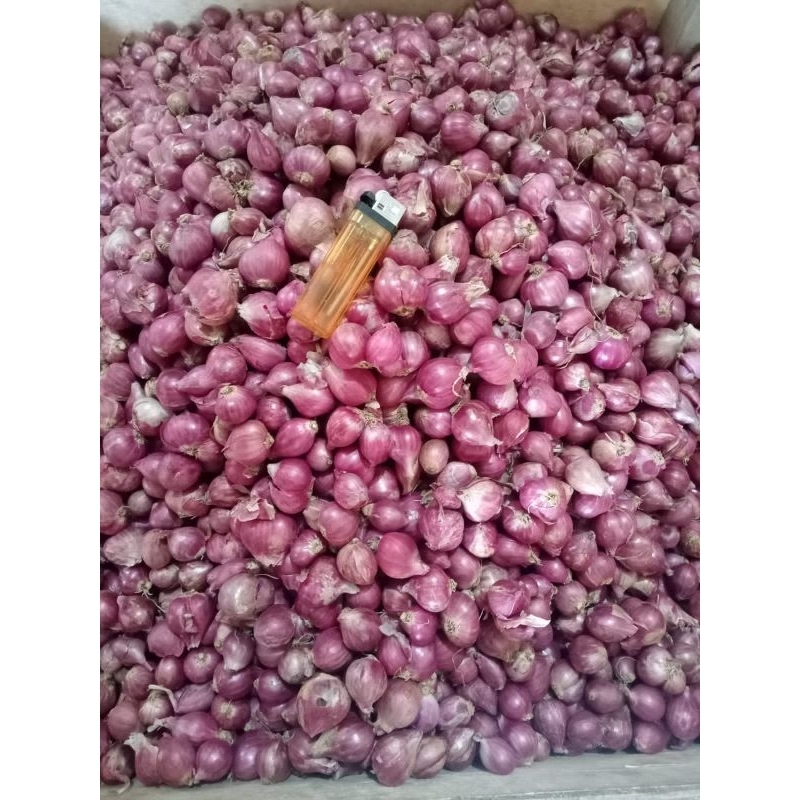

BAMER PROLING DAN NGANJUK