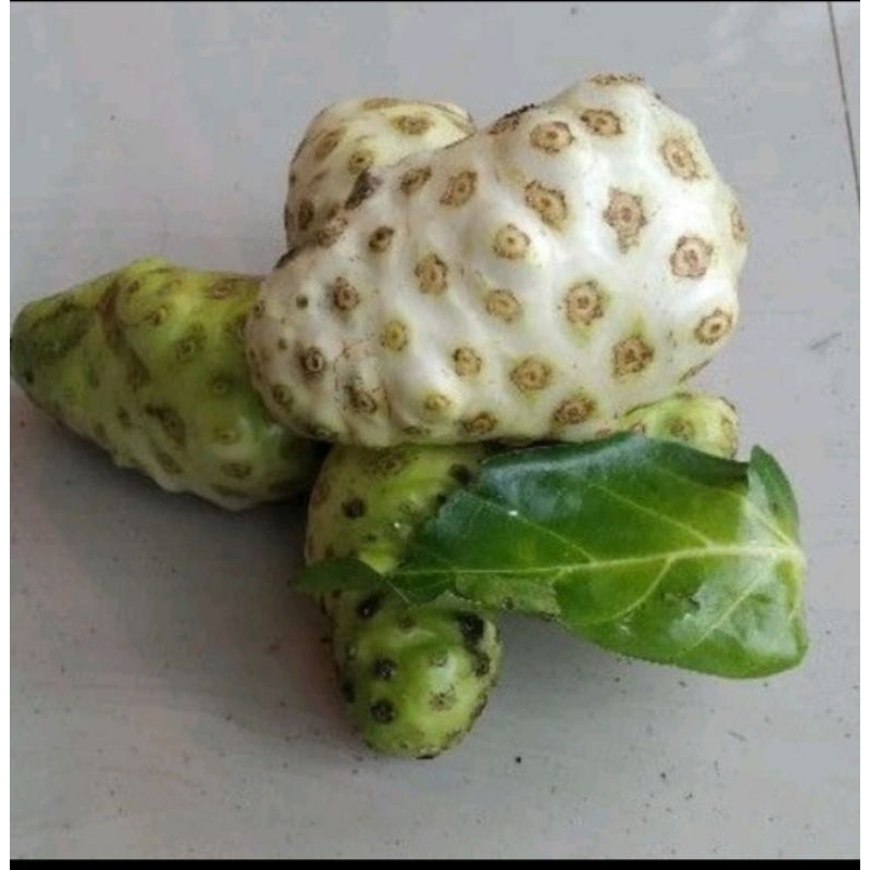 

buah pace/mengkudu 500gr