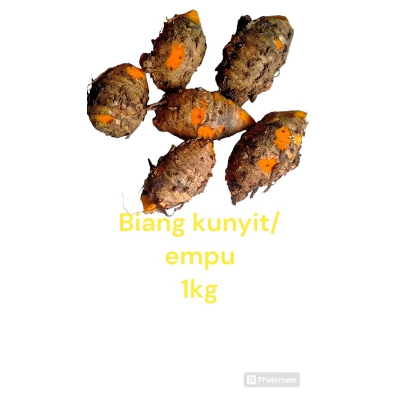 

Empu biang kunyit 1kg