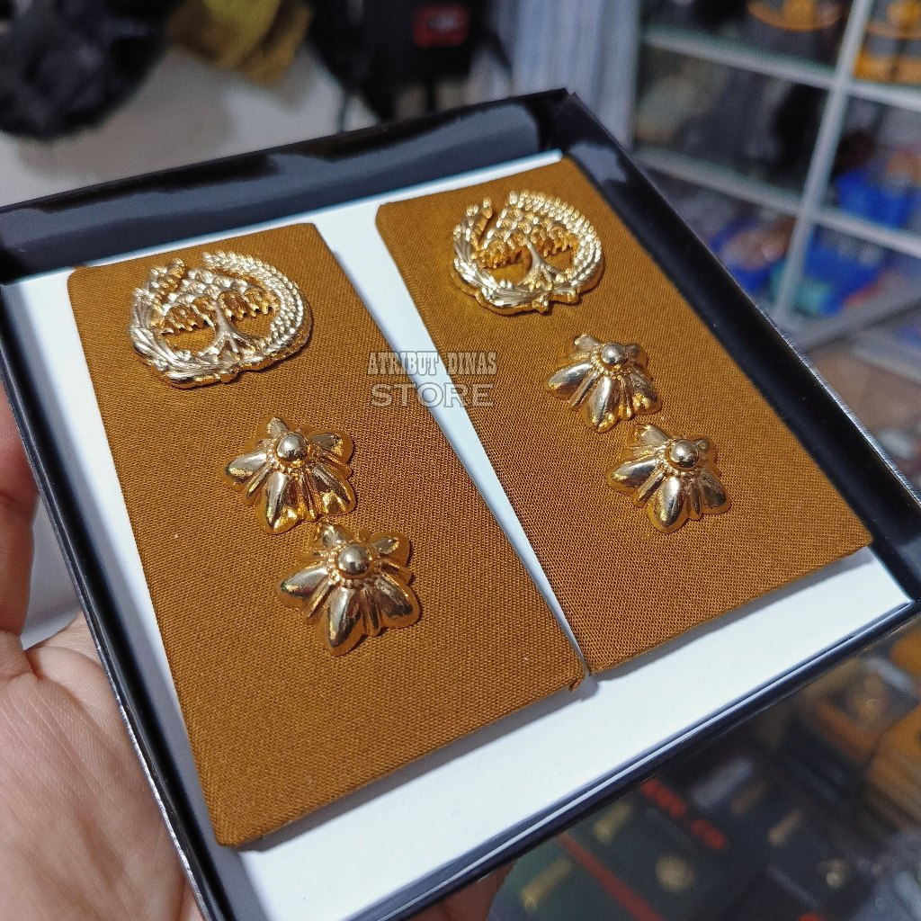 Pangkat ASN LAMPUNG Golongan 4B Fungsional Kain