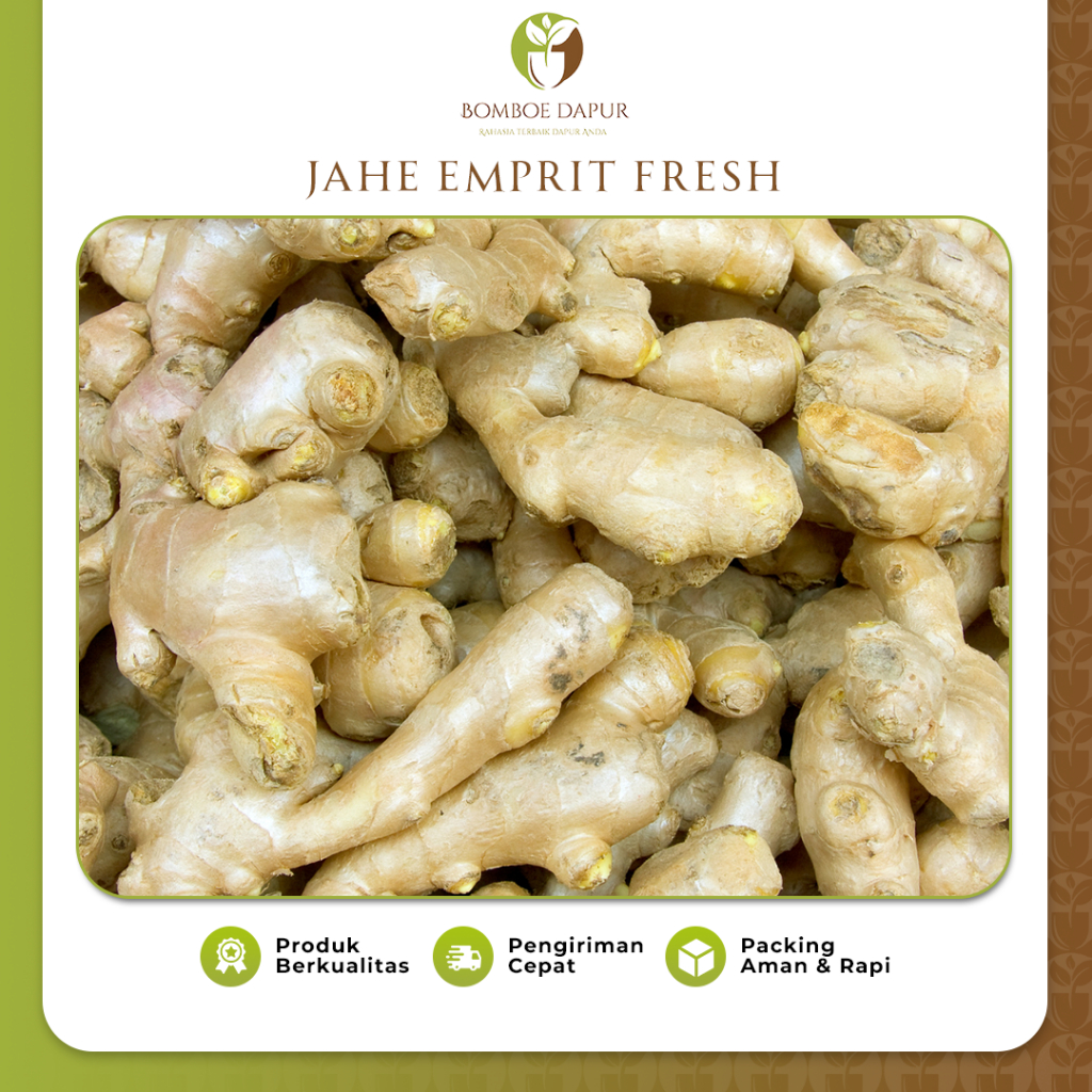 

Jahe Emprit 1kg Rempah Rasa Lebih Pedas Sudah Bersih Tidak Berat Dengan Tanah