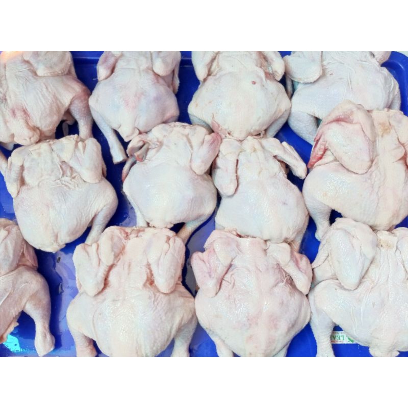

Paket 3 Ayam bekakak (UK.ayam @650gr)