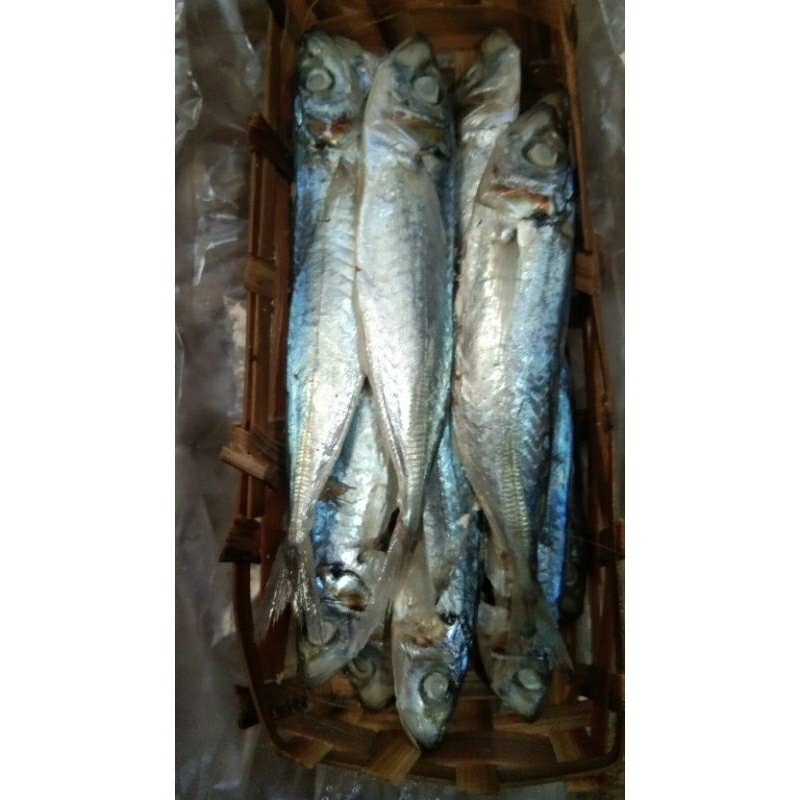 

Ikan pindang perbesek