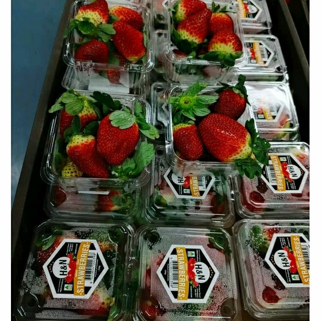 Strawberry Jumbo Australia Fresh Import / Buah Strawberry Australia / 250 grm