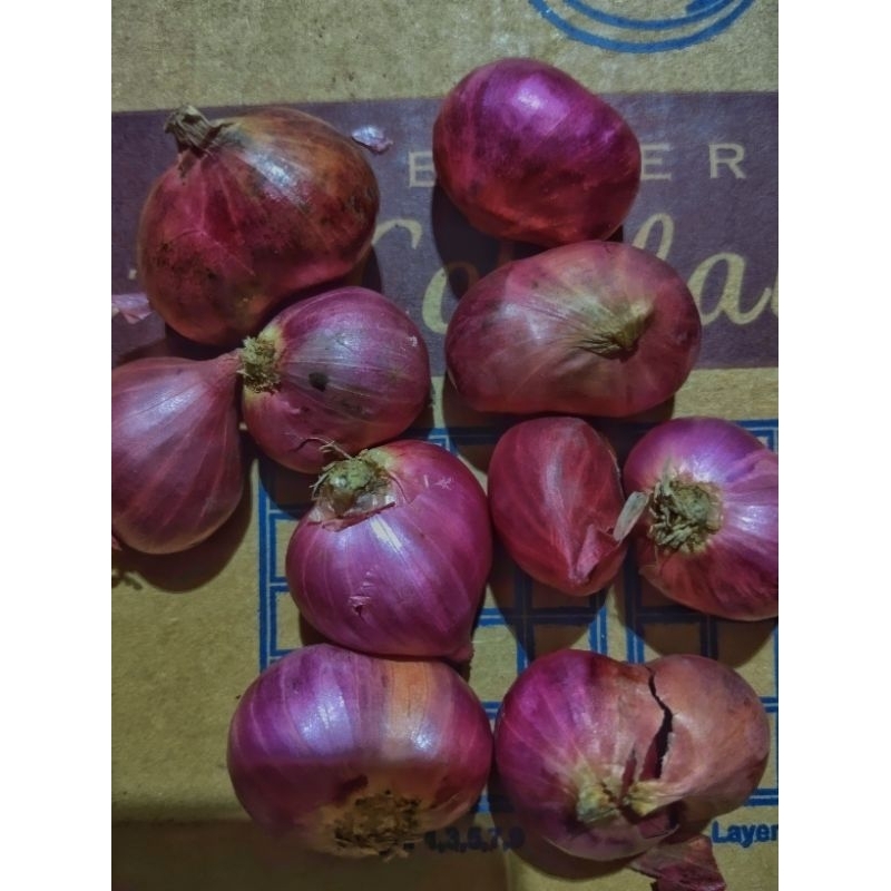 

Bawang Merah 1 Kg