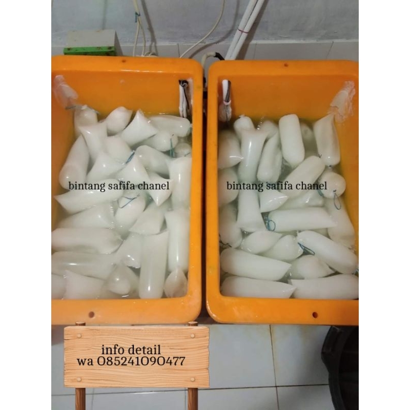 Mesin kulkas es batu super cepat beku (Tipe 2 box)