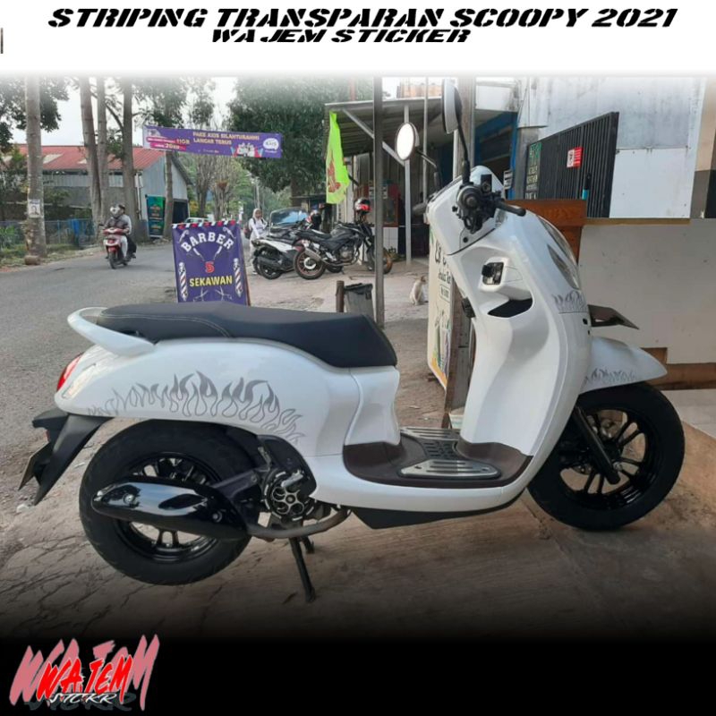 STRIPING TRANSPARAN SCOOPY NEW 2021 PRESTIGE