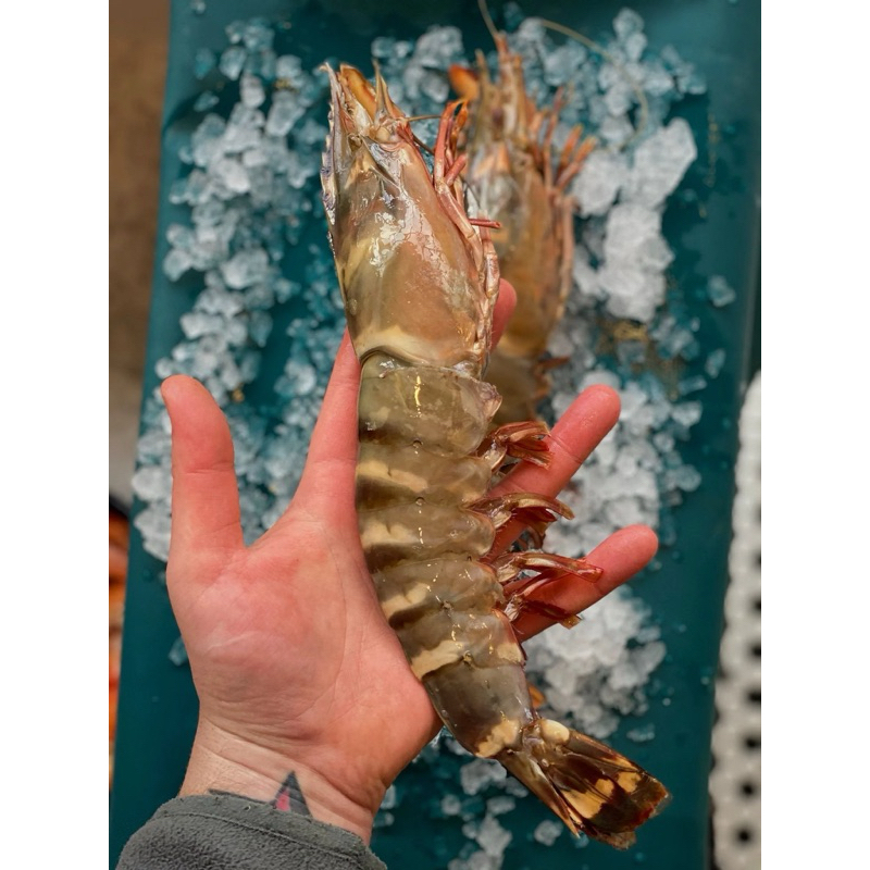 

Prawn (Udang) Fresh - Golden Bali Fish Market