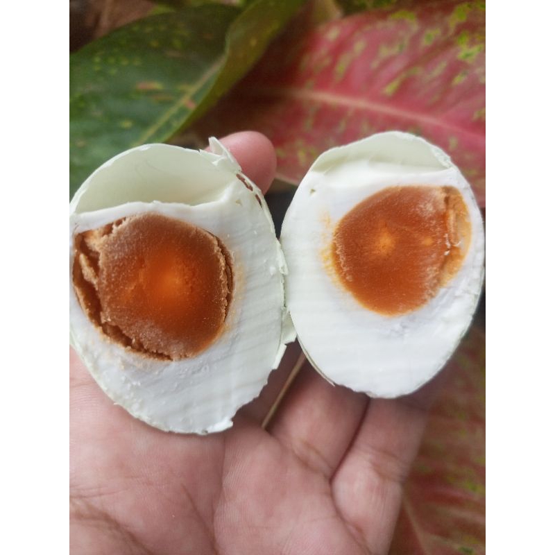 

telur asin original size BESAR MASIR BERMINYAK