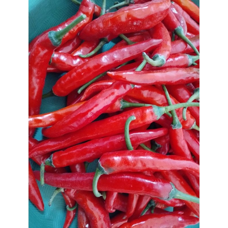 

Cabe Merah Besar 1 kg