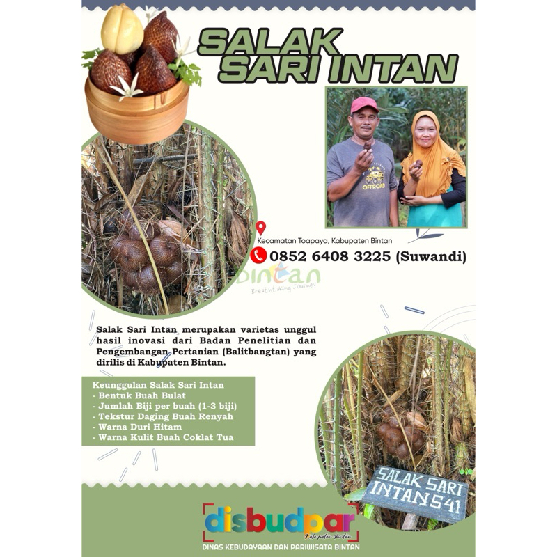 

Salak Sari Intan