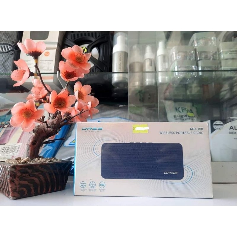 Speaker Bluetooth Wireless Portable Radio OASE KOA 100