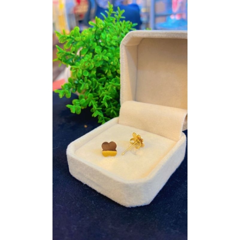 Anting Tusuk Titanium