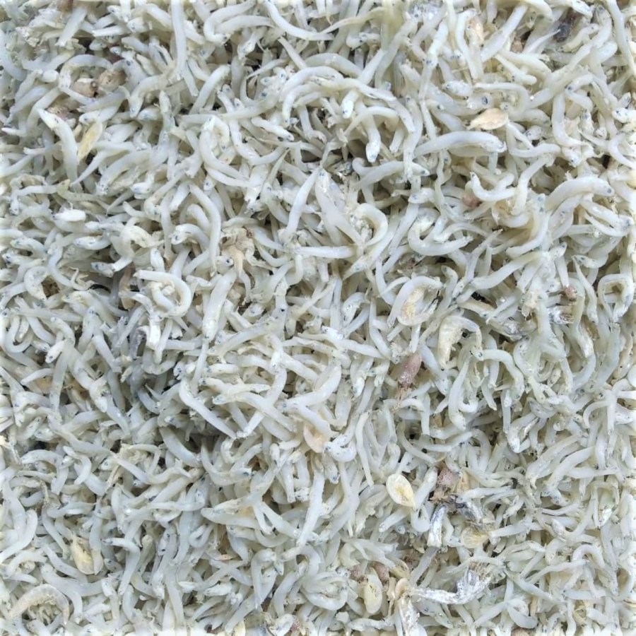 

Ikan Teri Nasi Medan