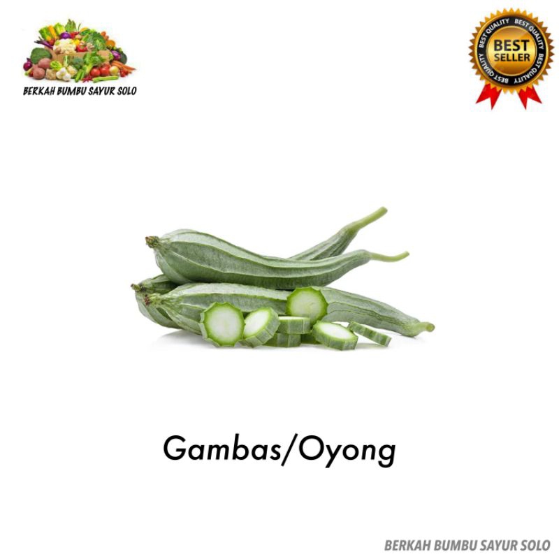 

Gambas Oyong Ceme