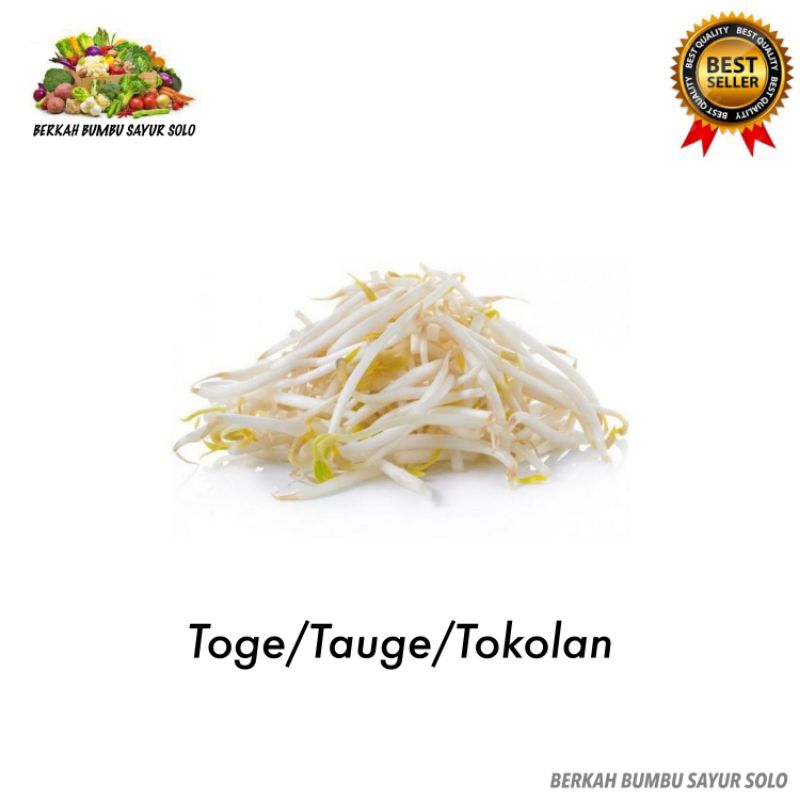 

Tauge Kacang Hijau Tauge Kedelai