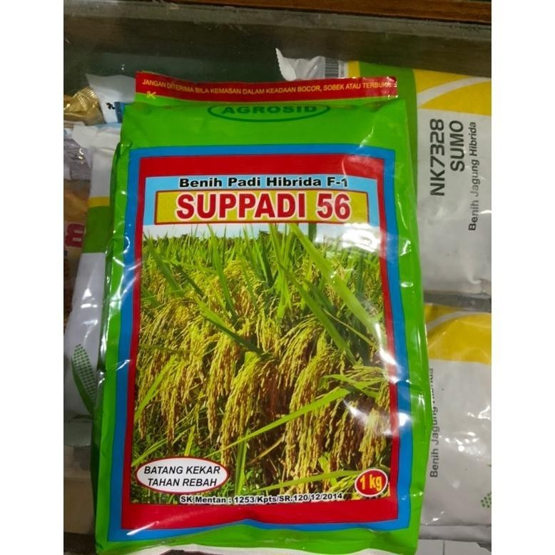 PROMO Benih Padi Hibrida SUPPADI 56 Dijamin Asli