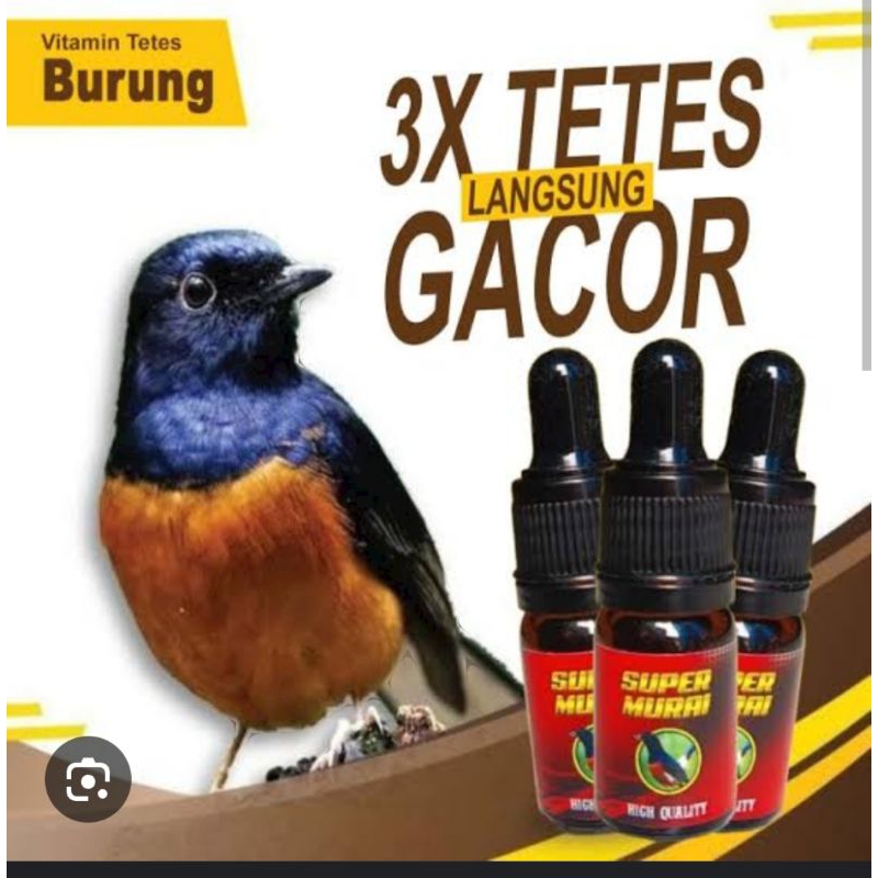 super murai gacor maxx