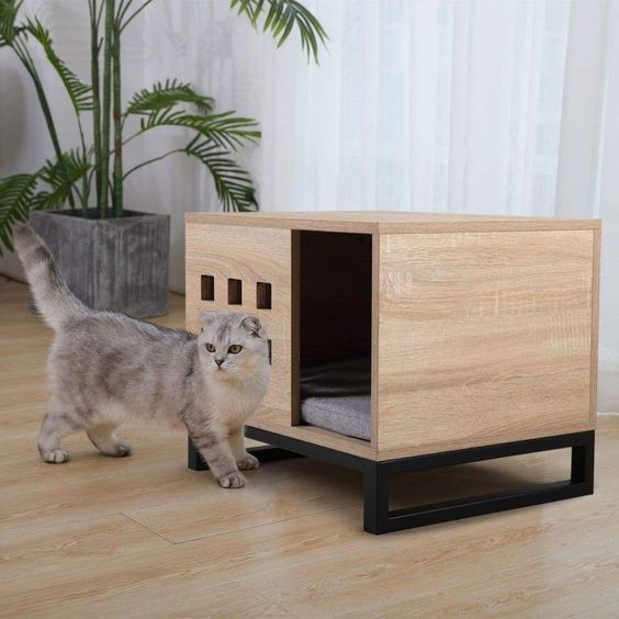 Kandang Kucing Modern | Kandang Kucing Besar | Kandang Kucing Jumbo | Kandang Kucing Kayu