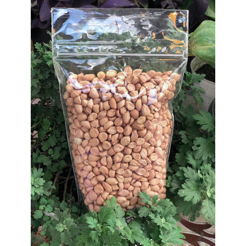 

kacang tanah mentah kupas