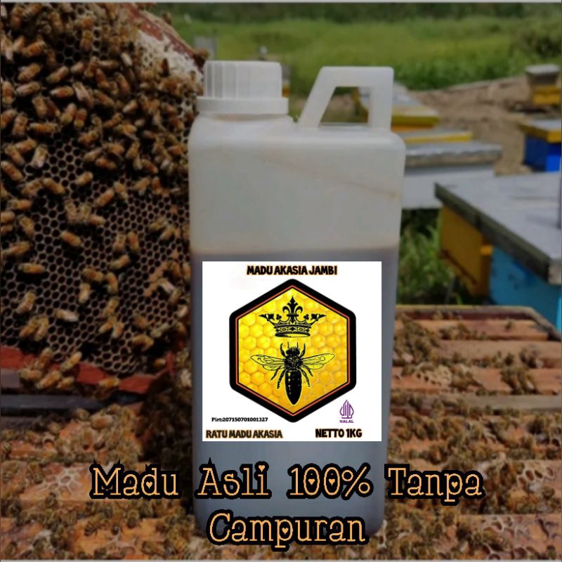 

Cv. Madu Akasia Termurah (PROMO) Madu Hutan AKASIA Hitam Manis Grad A 1kg