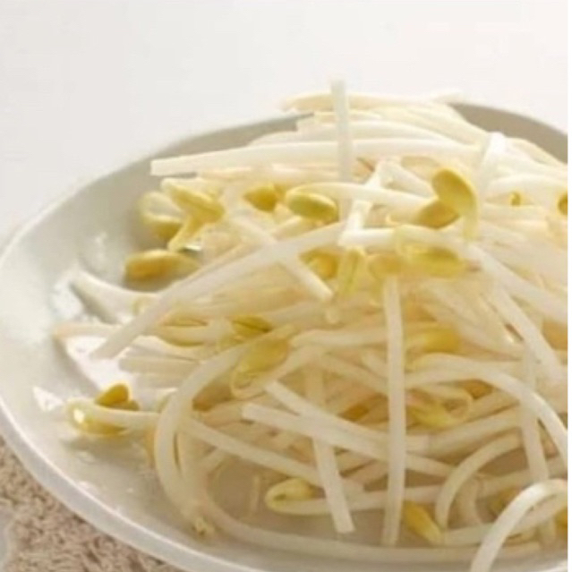 

sayur Toge Sedang