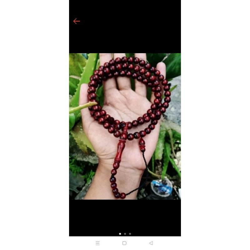 Tasbih akar Bahar merah 99