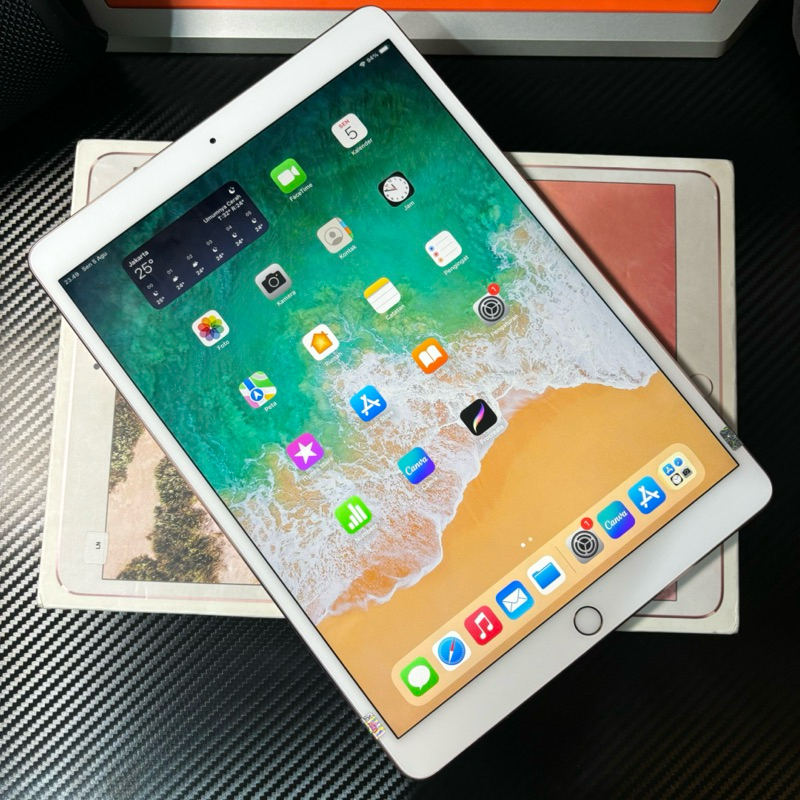 iPad Pro 10.5 2017 Layar 120Hz 4/256GB Second