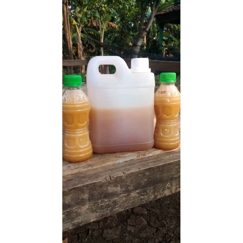 

Madu nektar randu 1kg