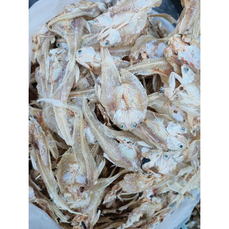 

Ikan Asin Bulu Ayam Lurus || Tawar SUPER