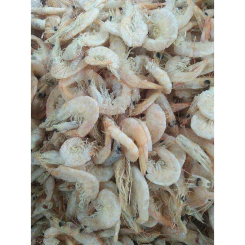 

Udang Manis 1 Kg