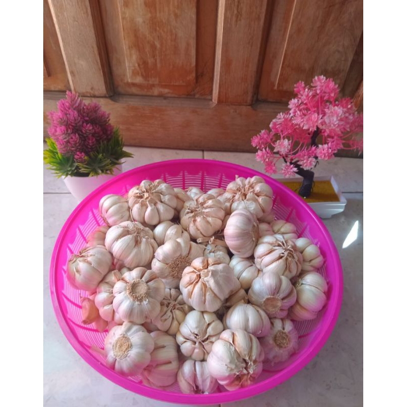 

BAWANG PUTIH KATING 1 KG,KUALITAS TERBAIK