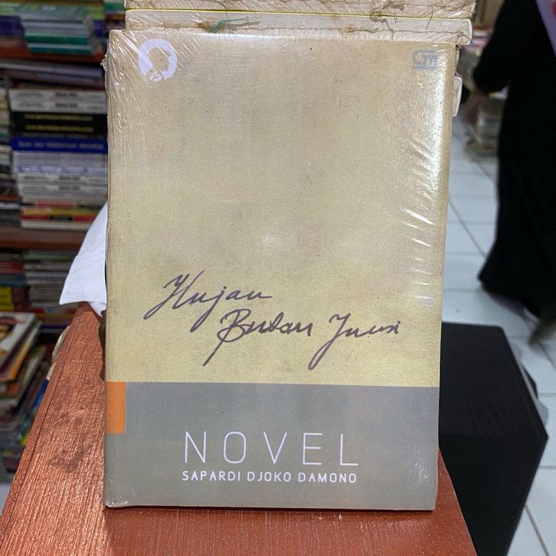 Novel Hujan Bulan Juni - Sapardi Djoko