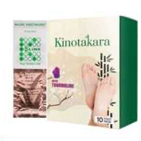 K-LINK KINOTAKARA / KOYO KAKI KLINK 100% ORIGINAL