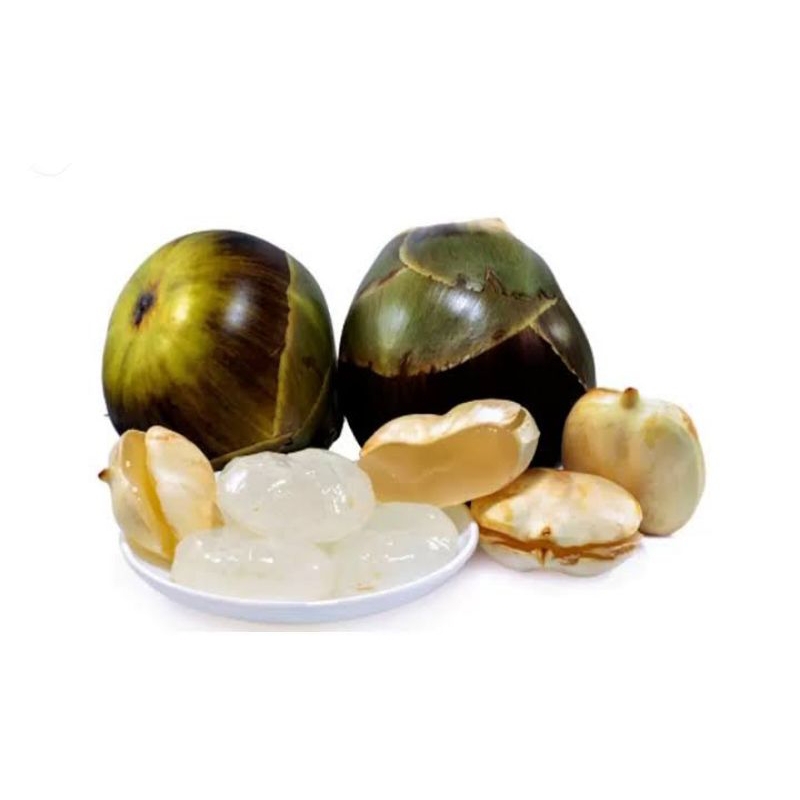 

Kolang Kaling Segar 1 kg