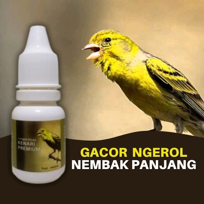Vitamin Burung Kenari Premium Harian Macet Bunyi Biar Cepat Gacor