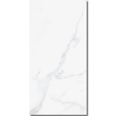 Keramik Dinding 25x50 Habitat Visconti