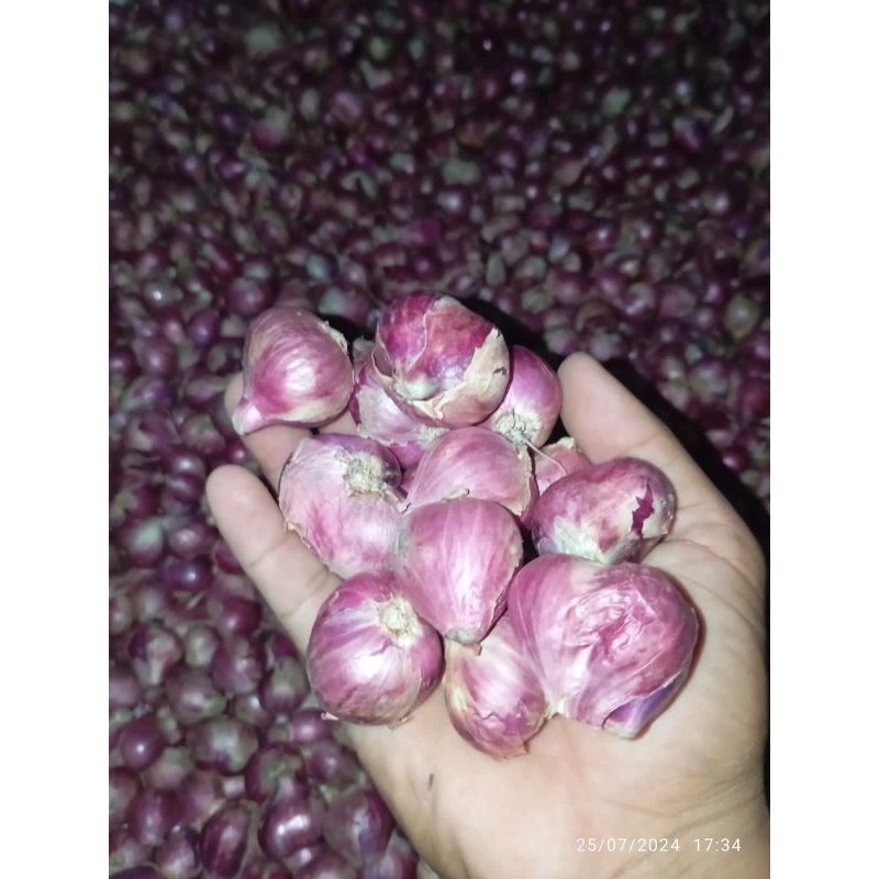 

Bawang merah