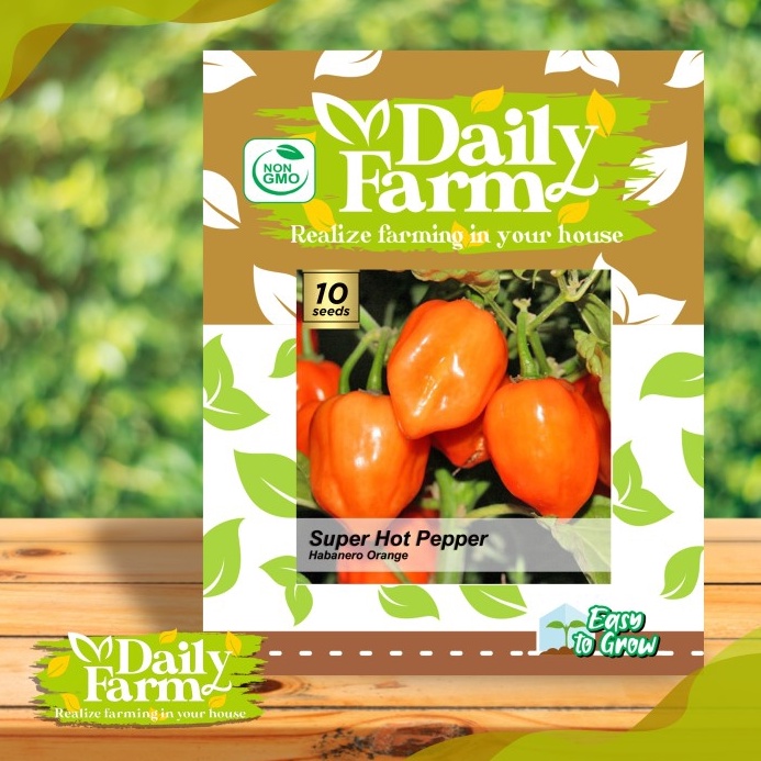 

TERMURAH Daily Farm Super Hot Pepper Habanero ORANGE