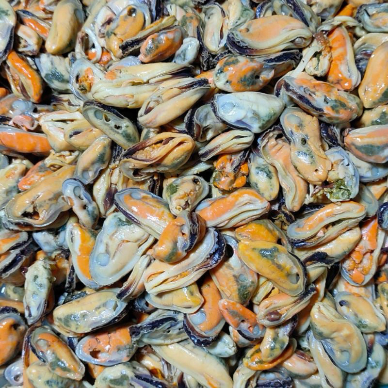 

kerang hijau kupas 1 kg/ kerang hijau kupas fresh/ kerang hijau segar