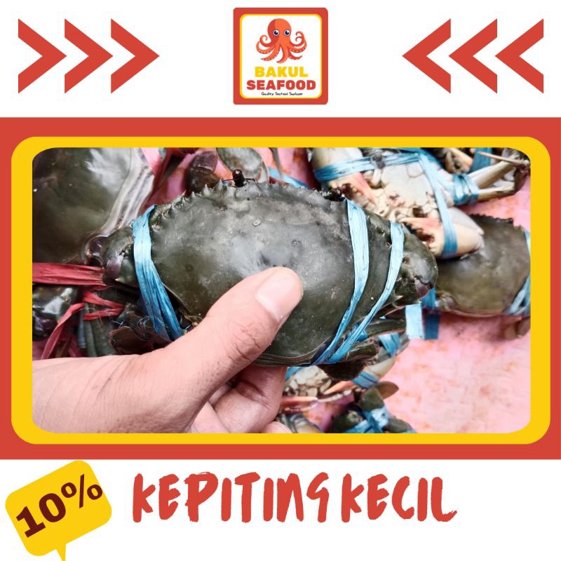 

KEPITING KECIL 500-1000GR