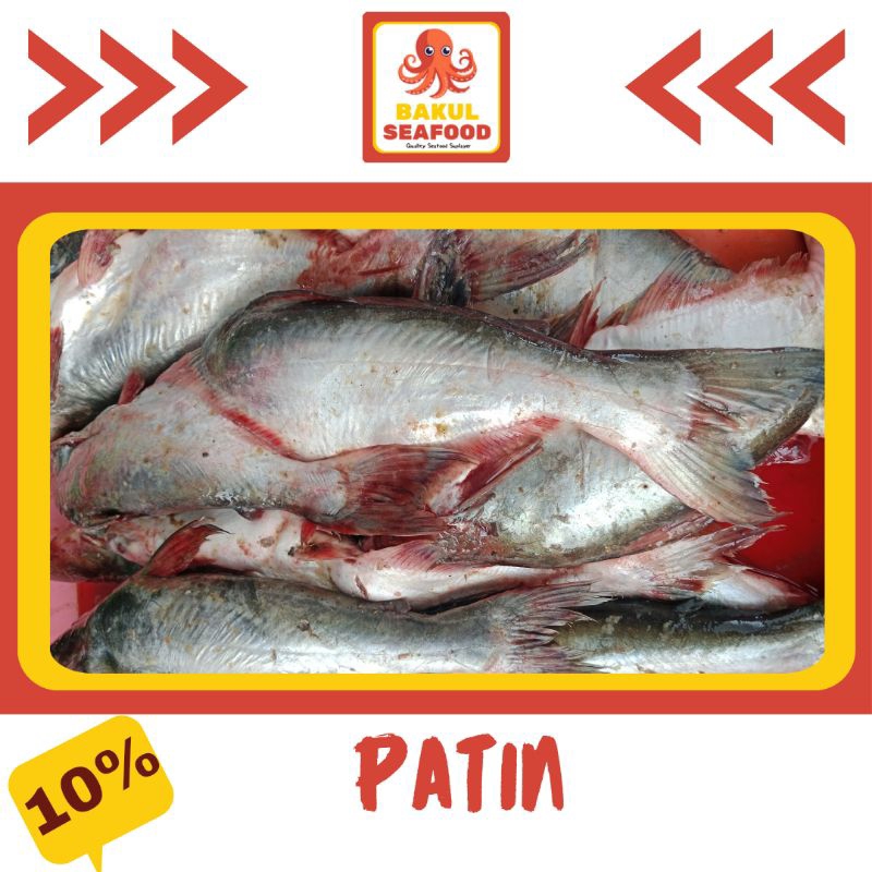 

PATIN 500GR - 1000GR