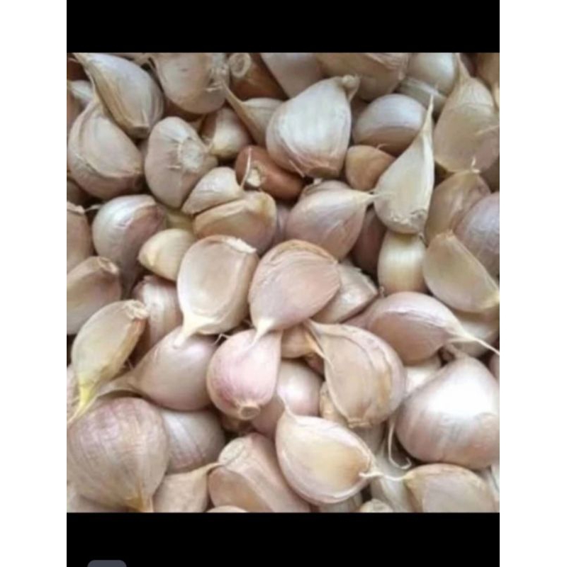 

bawang putih kating 1kg